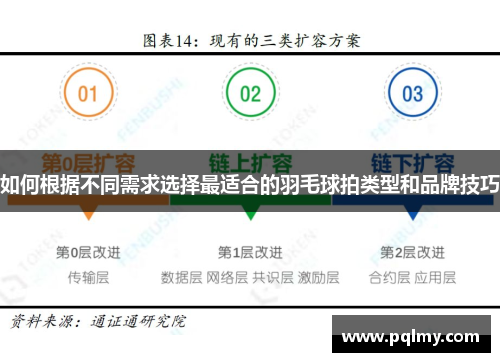 如何根据不同需求选择最适合的羽毛球拍类型和品牌技巧