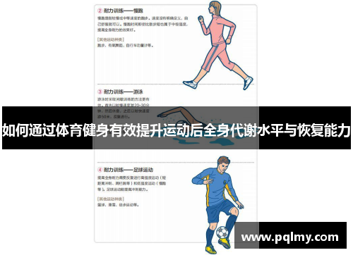 如何通过体育健身有效提升运动后全身代谢水平与恢复能力