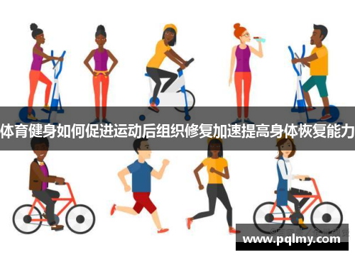 体育健身如何促进运动后组织修复加速提高身体恢复能力