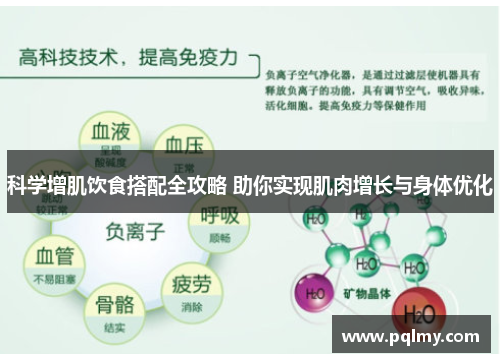 科学增肌饮食搭配全攻略 助你实现肌肉增长与身体优化