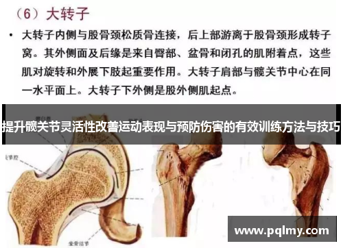 提升髋关节灵活性改善运动表现与预防伤害的有效训练方法与技巧