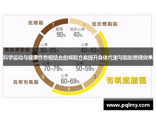 科学运动与健康作息相结合的减脂方案提升身体代谢与脂肪燃烧效果