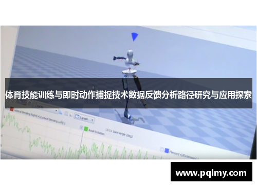 体育技能训练与即时动作捕捉技术数据反馈分析路径研究与应用探索