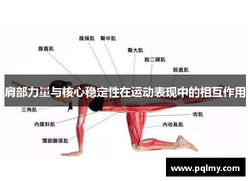 肩部力量与核心稳定性在运动表现中的相互作用