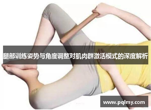腿部训练姿势与角度调整对肌肉群激活模式的深度解析